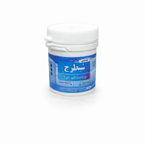 قرص شیطرج